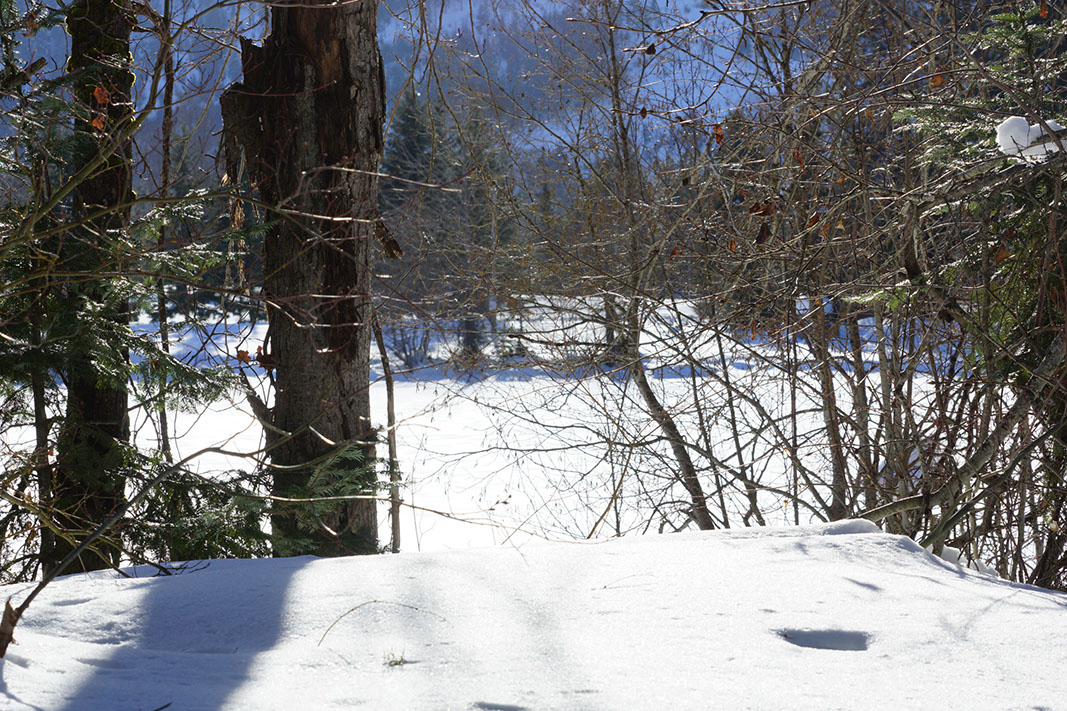 %_tempFileNameDSC02648%